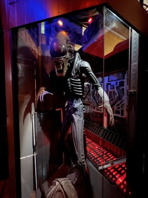Museum of the Weird by null