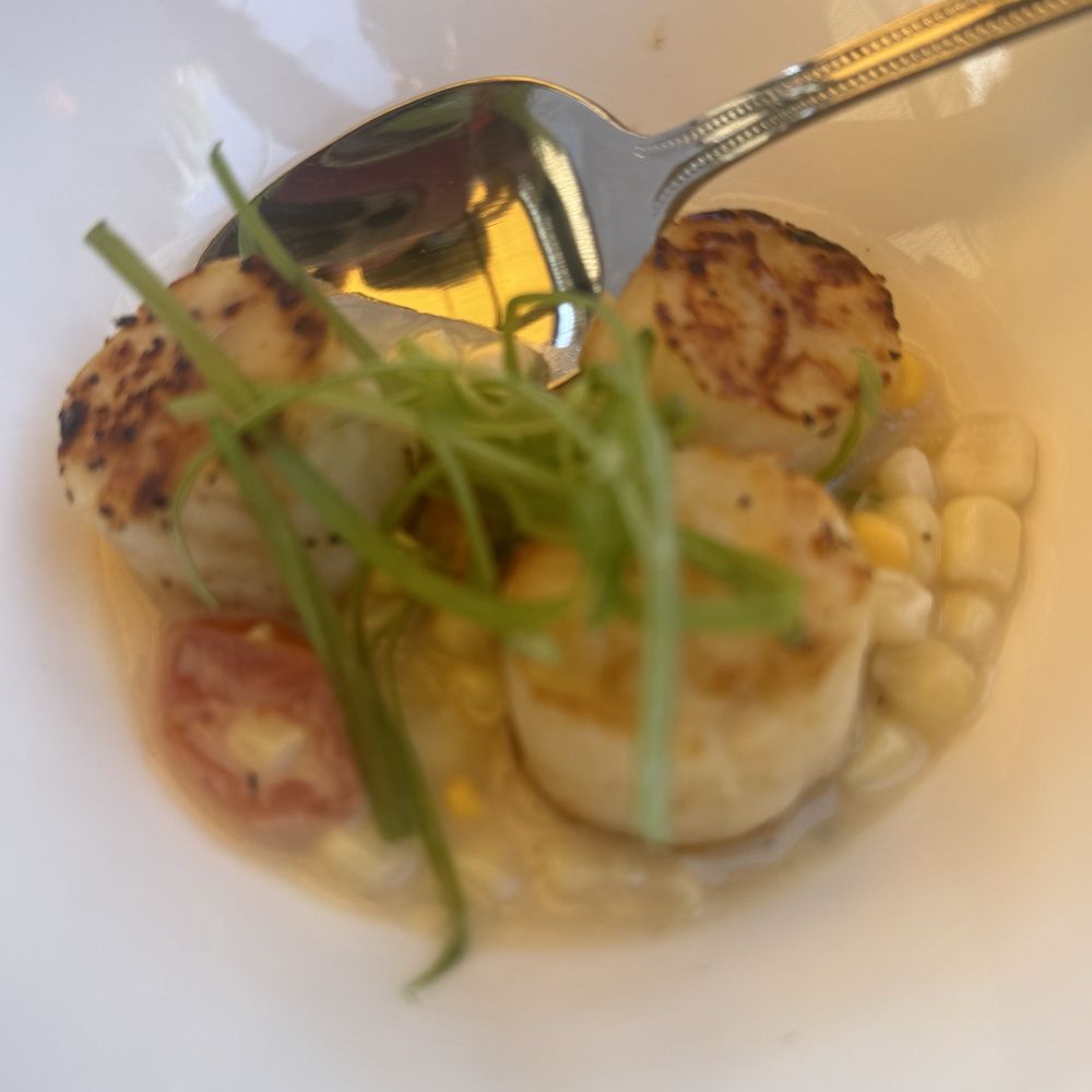 Bacari - Such fresh scallops - Mediterranean Near Me - Long Beach, California