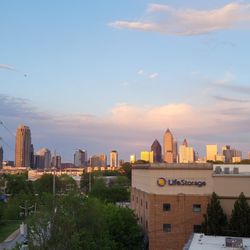 Yard Bar - Patio Views