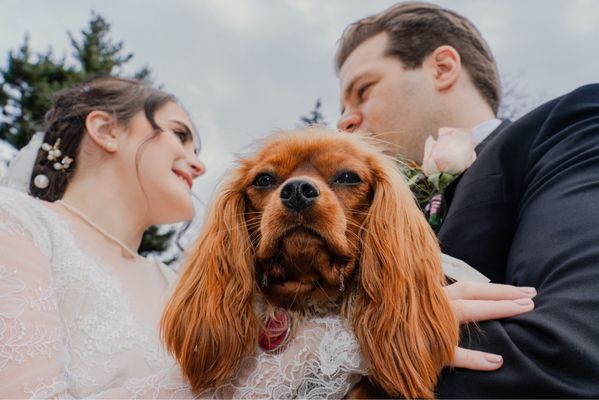 Biscuits & Bath - Riverside Blvd by null