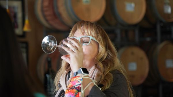 Laguna Canyon Winery by null