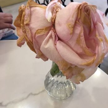 Holy Matcha - This is the newest shop on the block and it was a disappointment. - Tea Rooms Near Me - San Diego, California Holy Matcha - This is the newest shop on the block and it was a disappointment. - Tea Rooms Near Me - San Diego, California