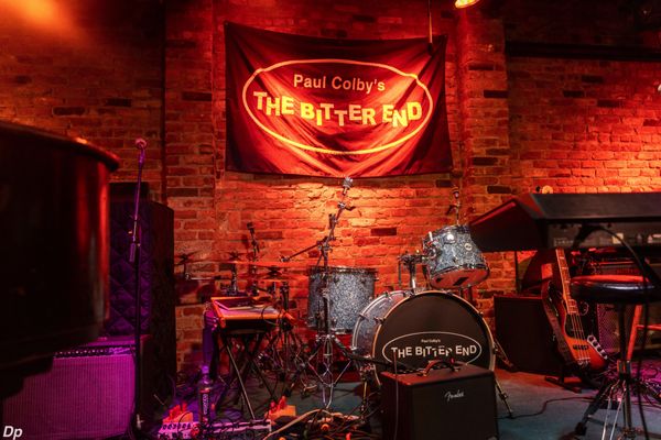 The Bitter End by null