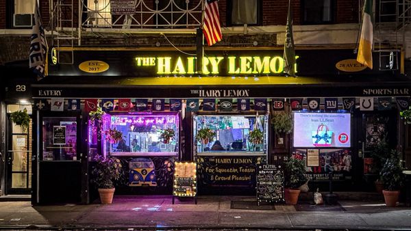 The Hairy Lemon by null