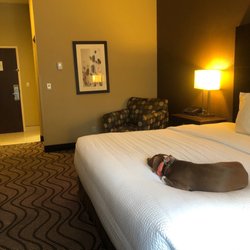 La Quinta by Wyndham Meridian / Boise West - Room