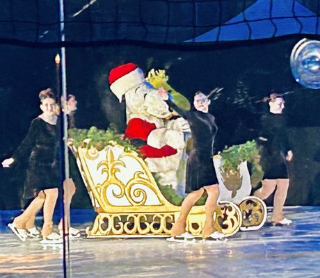 Snoopy's Home Ice by null