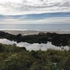 Winema Beach gift card