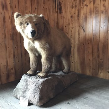 The Outlaw Saloon - Beary fun place! - Steakhouses Near Me - Hatch, Utah The Outlaw Saloon - Beary fun place! - Steakhouses Near Me - Hatch, Utah