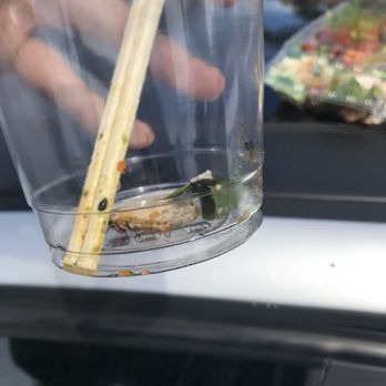 AhiPoki - ITS STILL MOVING - Seafood Near Me - San Diego, California
