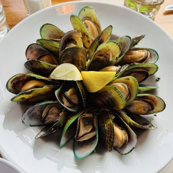 Swashbucklers - Mussels Steamed Natural with Garlic Butter NZ$26 - Pubs Near Me - Auckland, AUK Swashbucklers - Mussels Steamed Natural with Garlic Butter NZ$26 - Pubs Near Me - Auckland, AUK