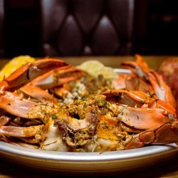 Ocean Crab