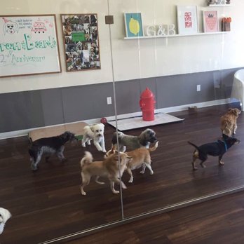 Groom & Board - Pet Groomers Near Me - Placentia, California