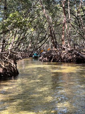 Happy Paddler Kayak Tours & Rentals - Lido Key Ted Sperling Park by null