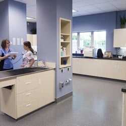 Orchard View Veterinary Center - Treatment