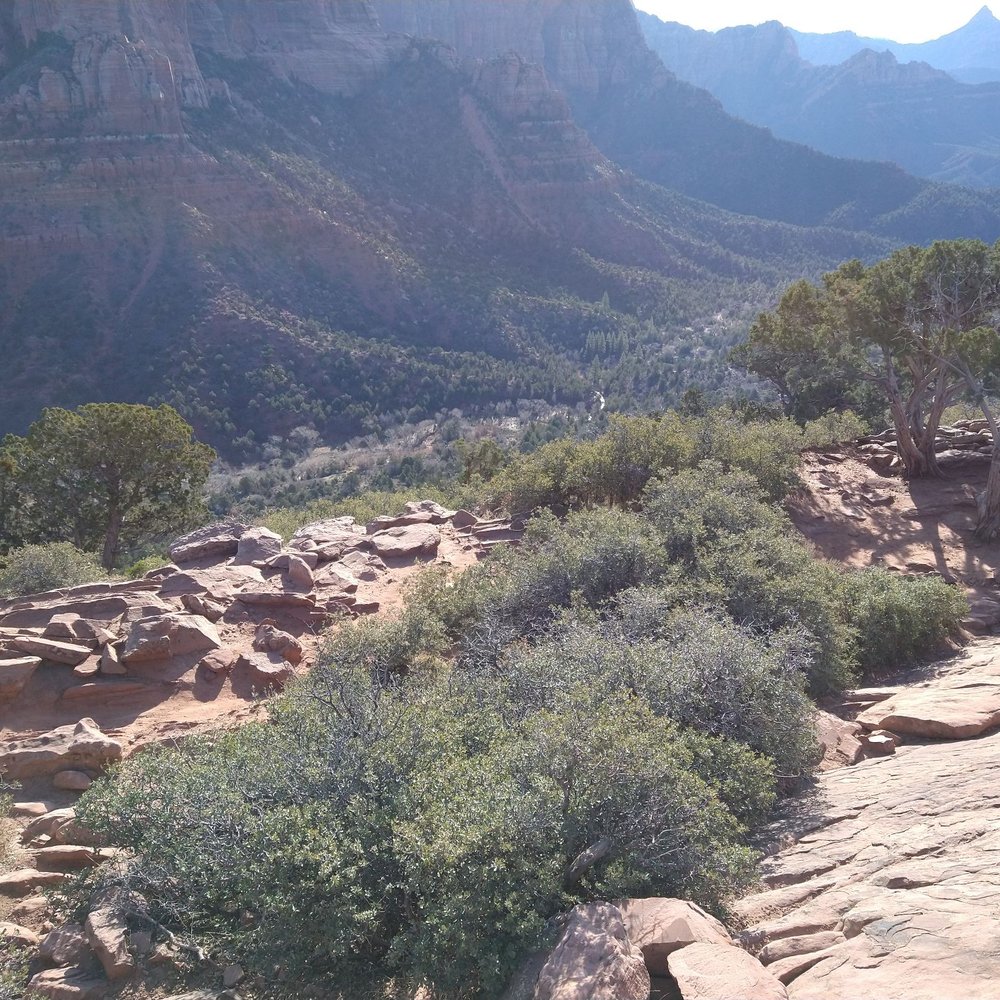 Kolob Canyons - Hiking Near Me - New Harmony, Utah Kolob Canyons - Hiking Near Me - New Harmony, Utah