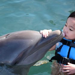 Dolphin Discovery Costa Maya - Swimming with the dolphins @ Dolphin Discovery in Costa Maya!!!