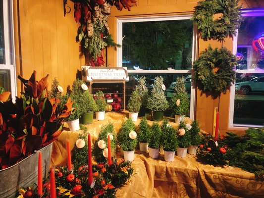 Capitol Park by null