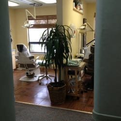 Robert P Zernicke, DDS