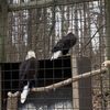 Kellogg Bird Sanctuary gift card