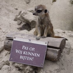 Landgoed Hoenderdaell