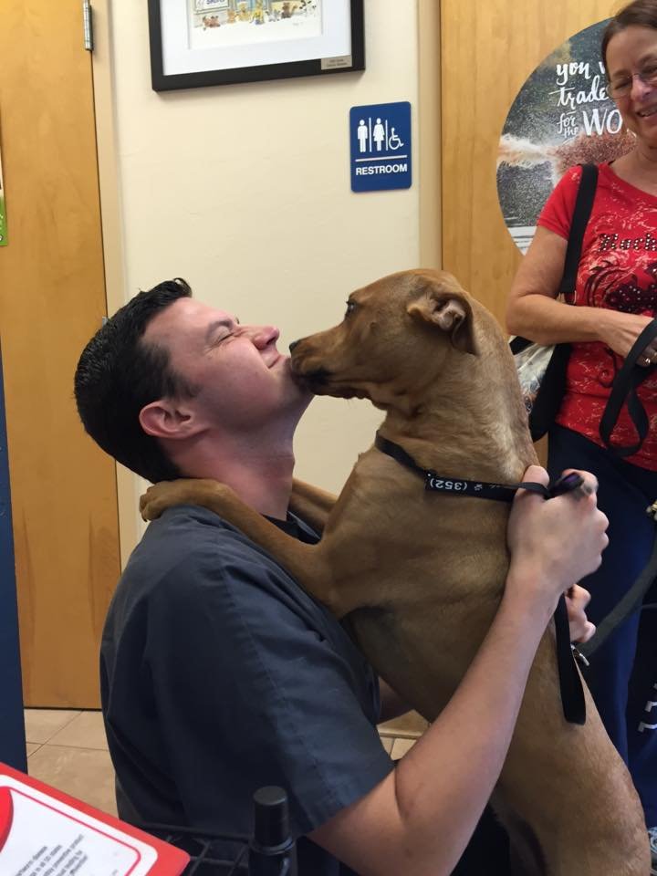 Shores Animal Hospital Image