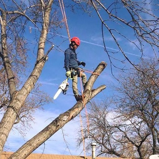 301 Moved Permanently