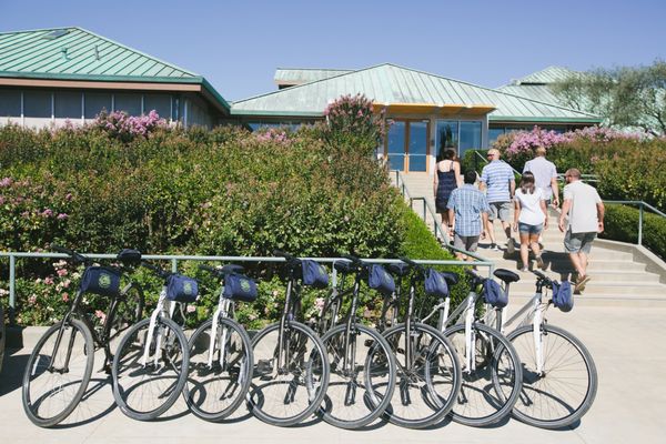 Napa Valley Bike Tours & Rentals by null
