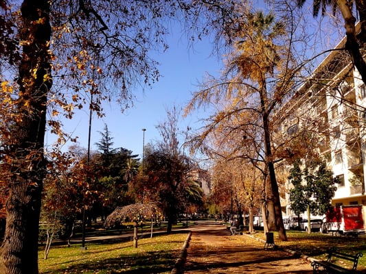 Parque Forestal by null