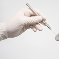 Mary E Fischer, DMD - St Johns Family Dental