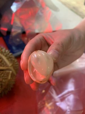 Durian 36 by null