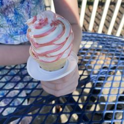 Wally's Sweet Spot - Strawberry swirl small cone