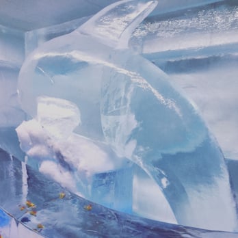 Ice Pub - Bars Near Me - Prague, Puerto Rico