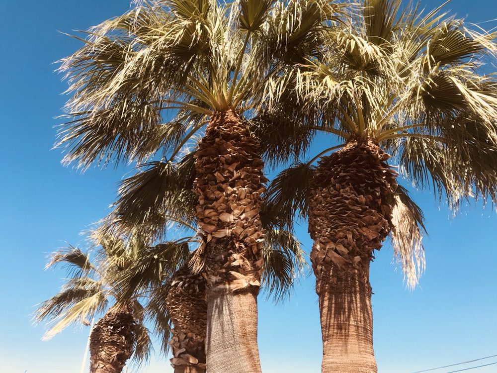 FOUR PALMS AUTO SALES Updated September 2024 6059 Boulder Hwy, Las Vegas, Nevada Used Car