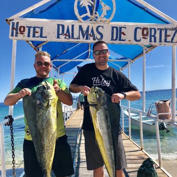 Hotel Palmas de Cortez - Hotels Near Me - Los Barriles, BCS