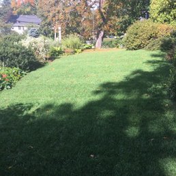 Deb: After sod installation. 2 weeks later. Perfect time to put in sod, Sept.  Watered twice a day 15-min in each zone. 6 am and 1 pm.