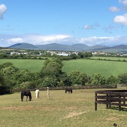 Isle Of Man Home Of Rest For Old Horses - Gorgeous Manx countryside, 92 acres.