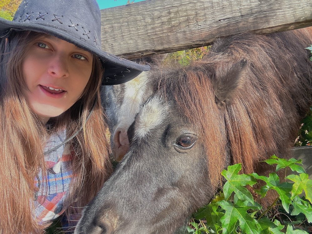 JMG Ranch - equestrian in Travelers Rest, SC