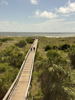 Tybee Island Marine Science Center by null