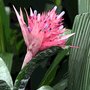 Photo of Jardins Du Monde