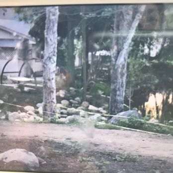 Ashland Creekside Campground - Caution Caution Caution - RV Parks Near Me - Ashland, Oregon