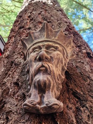 Koya Kitchen by null