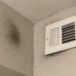 Daniela’s Premier Cleaning Service - The mildew/mold near the vents which I specifically told her was important to clean. I have a stool but it is hard for me to put my arms up.