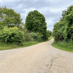 Amager Fælled - Amager Faelled