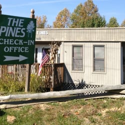 The Pines