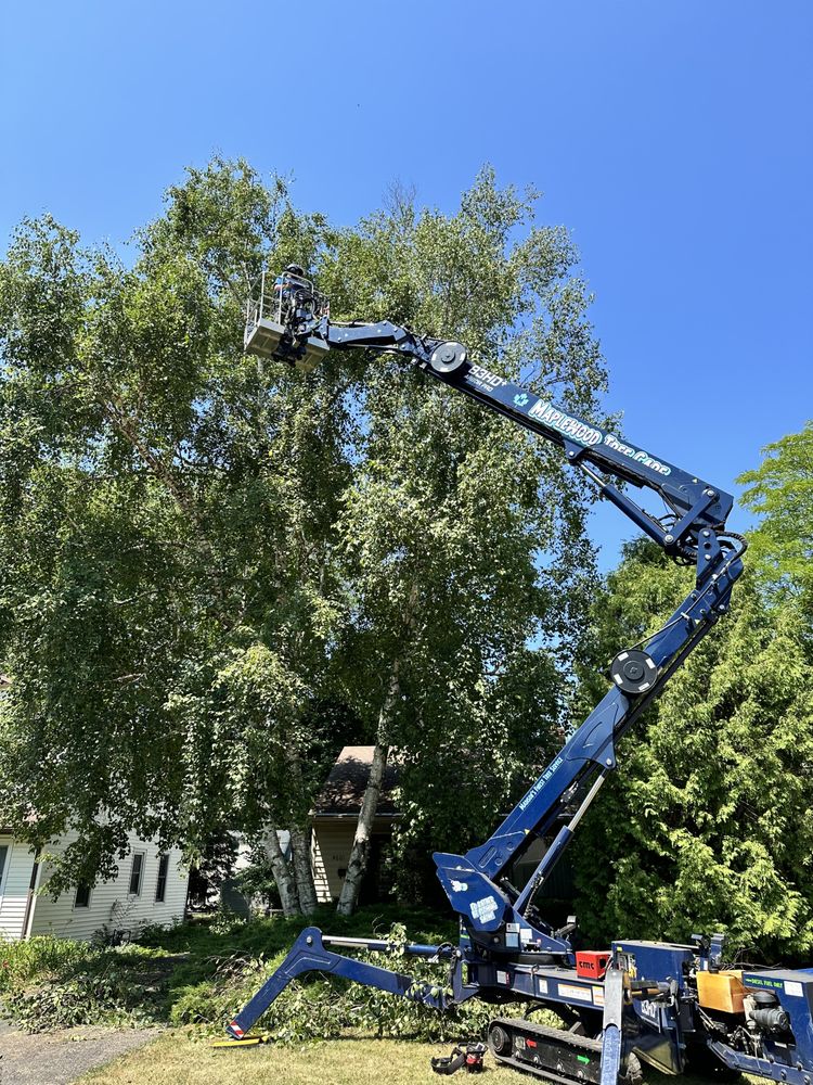 Maplewood Tree Care - tree service in Monona, WI