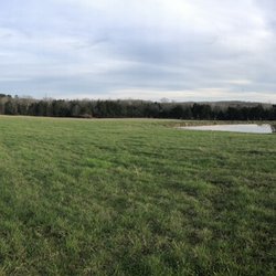 Haven Hollow - Beautiful full hook up sites overlooking pond and meadows.