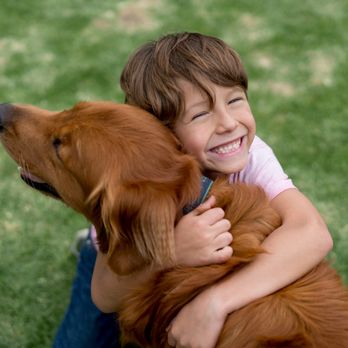1. Karma Dog Training
