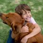Photo of Karma Dog Training