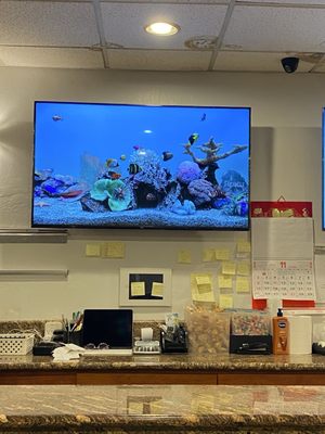 Far East Cafe by null