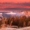 Robb Hirsch Photography gift card